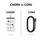 Chord vs Cord