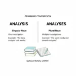 Analysis vs Analyses